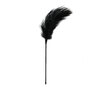 Black-Feather-Tickler