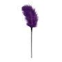 Purple-Feather-Tickler