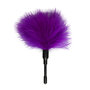 Small-Tickler-Purple