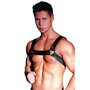 Leather-Chest-Harness
