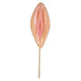 Vagina-Lolly-Met-Aardbeismaak