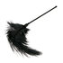 Black Feather Tickler_